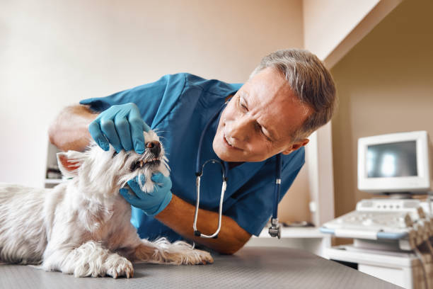 Best 24-Hour Emergency Dentist in Rio Grande City, TX